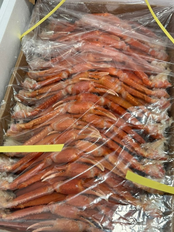 KakaoTalk_20231221_200242213.jpg