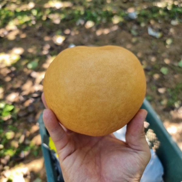 KakaoTalk_20231227_163853415_02.jpg