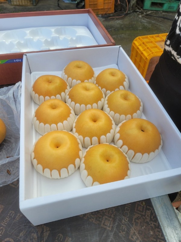 KakaoTalk_20231223_161730588_08.jpg