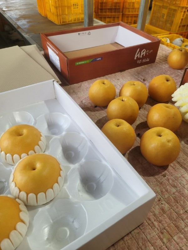 KakaoTalk_20231223_161730588_07.jpg