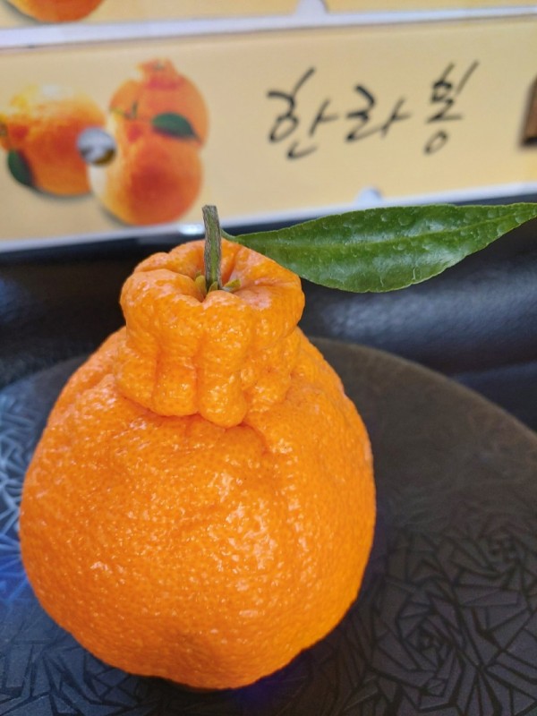 KakaoTalk_20240111_124127626_01.jpg