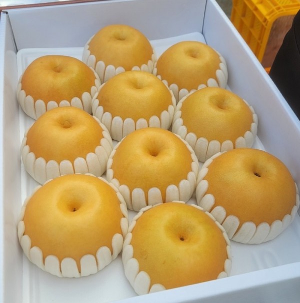 KakaoTalk_20231223_161730588_08.jpg