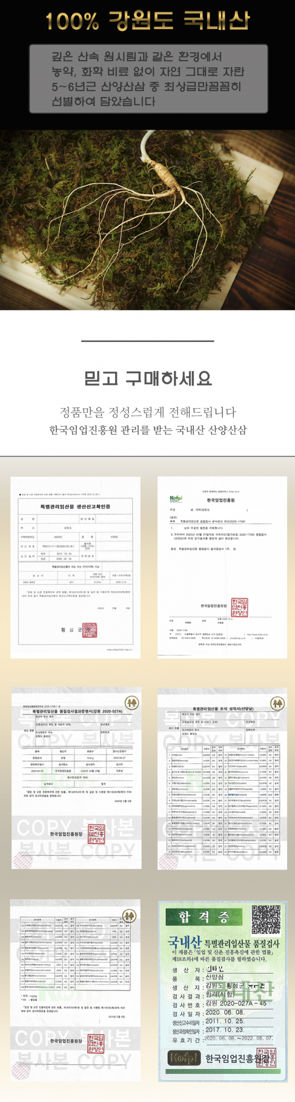 산양삼001.png