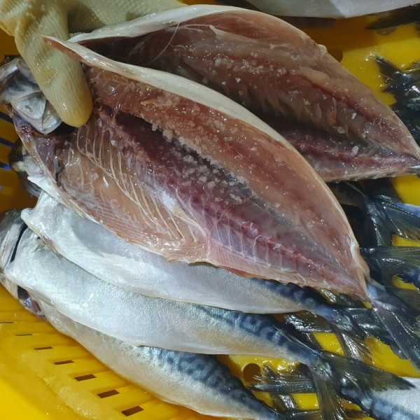 KakaoTalk_20240123_225821142_24.jpg