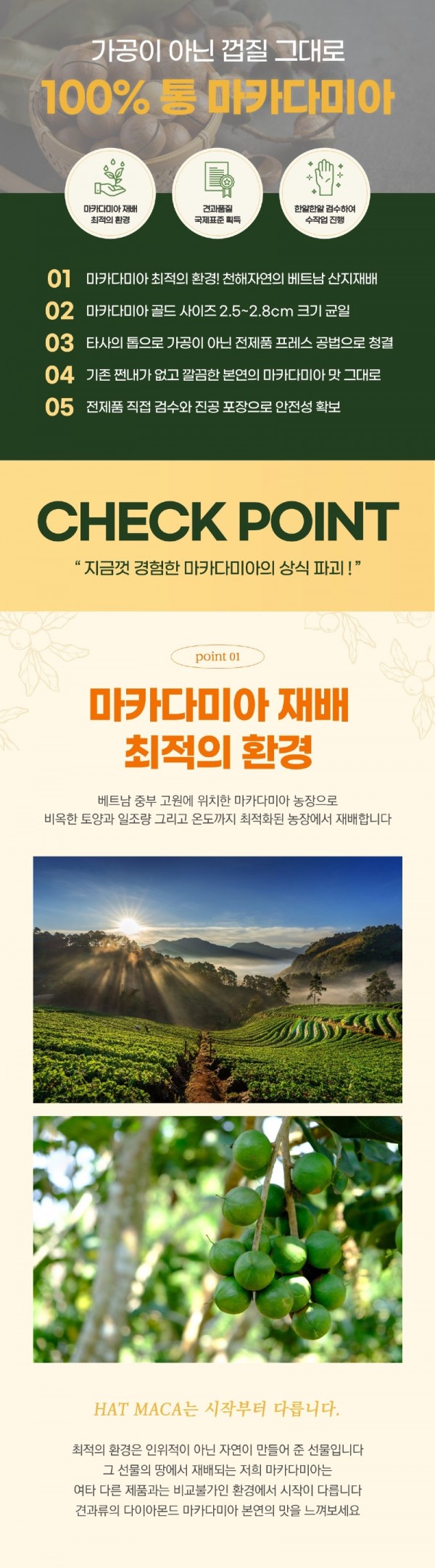 마카다미아2.jpeg
