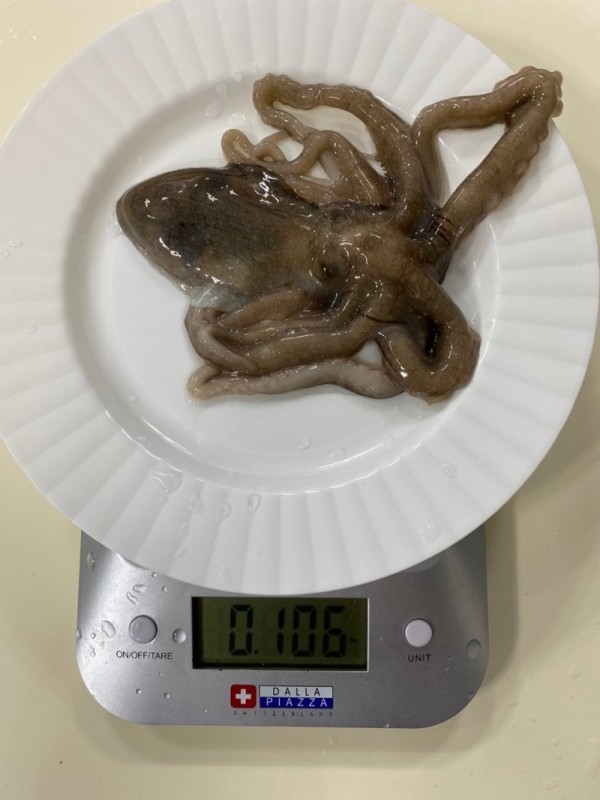 KakaoTalk_20240220_125447411_04.jpg