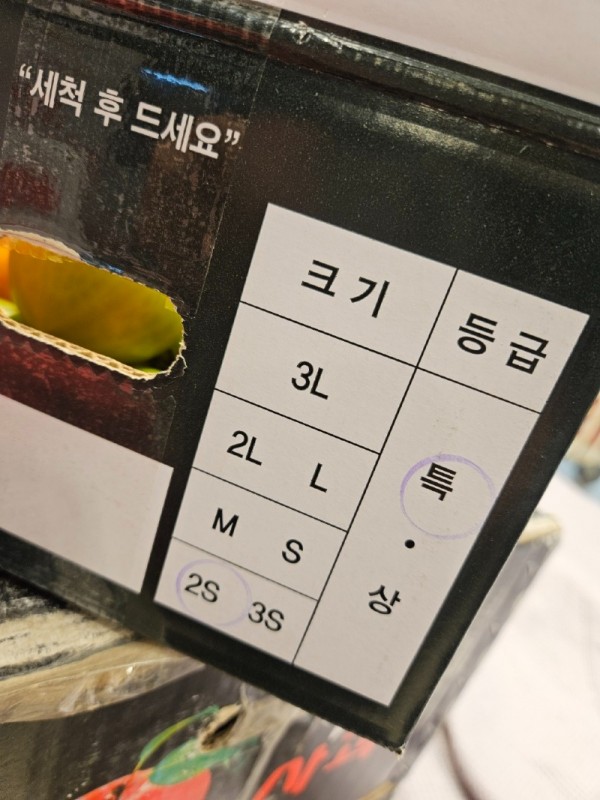 대저토마토2S (3).jpg