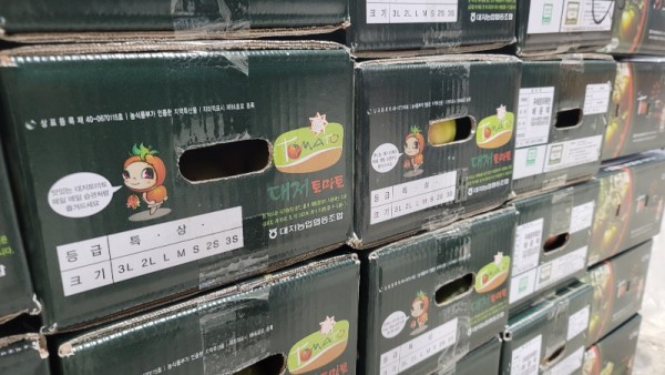 대저토마토2S-L (3).jpg