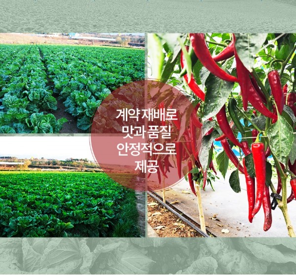 열무3.jpg