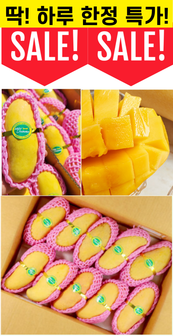 KakaoTalk_20240502_104000063.png