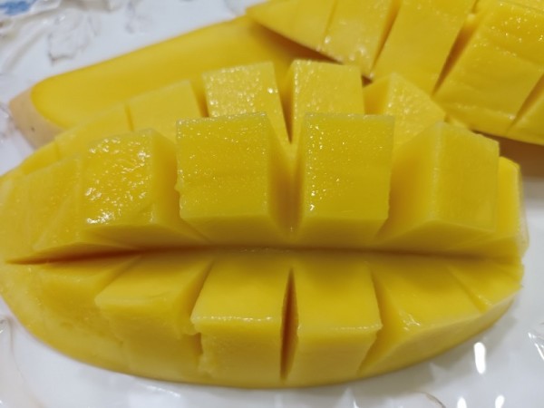 KakaoTalk_20240502_104128615.jpg