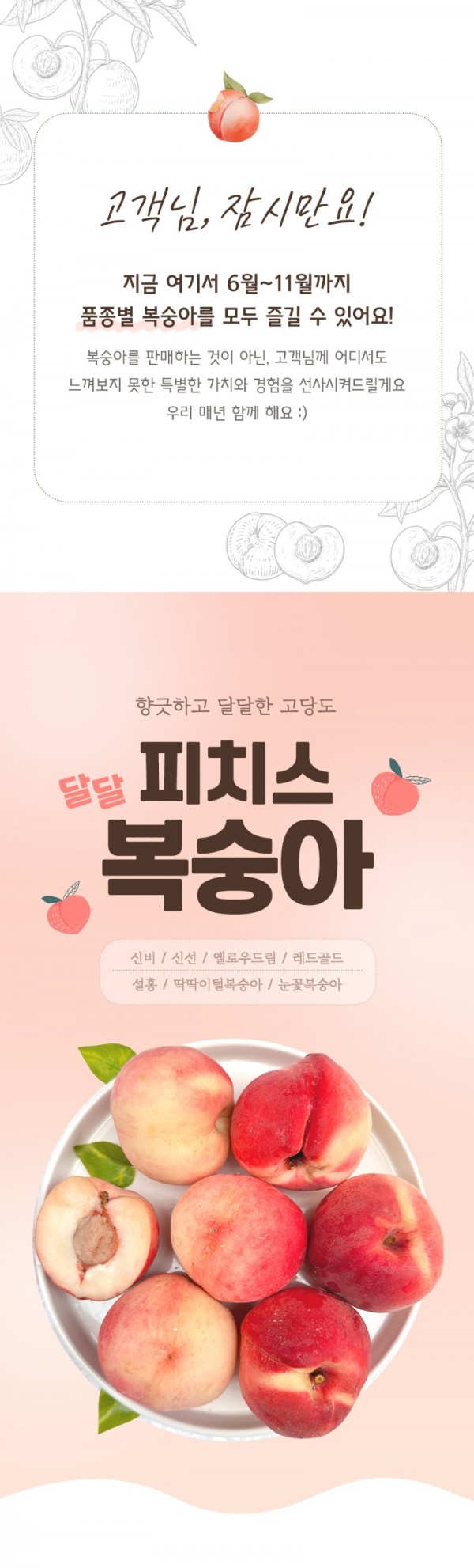 KakaoTalk_20240708_195445671_01.jpg
