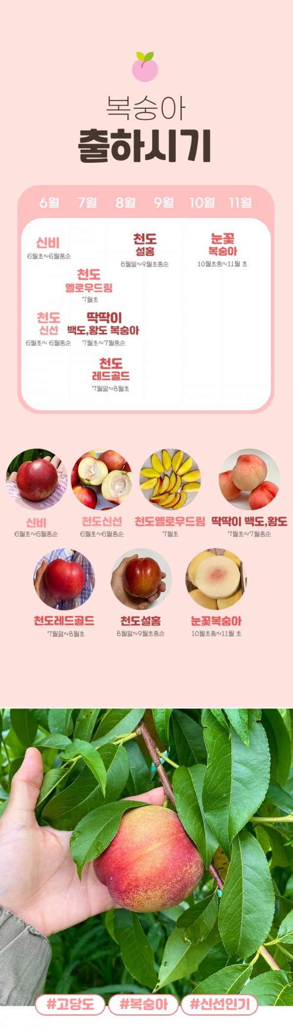 KakaoTalk_20240708_195445671_05.jpg