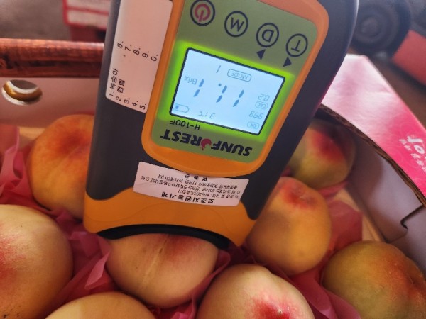 KakaoTalk_20240709_205711300_01.jpg