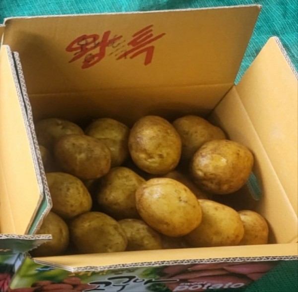 KakaoTalk_20240723_094434837.jpg