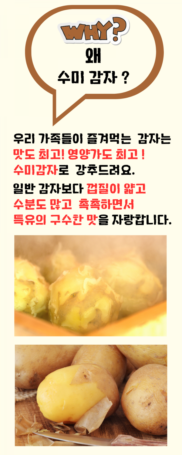 54534535.png