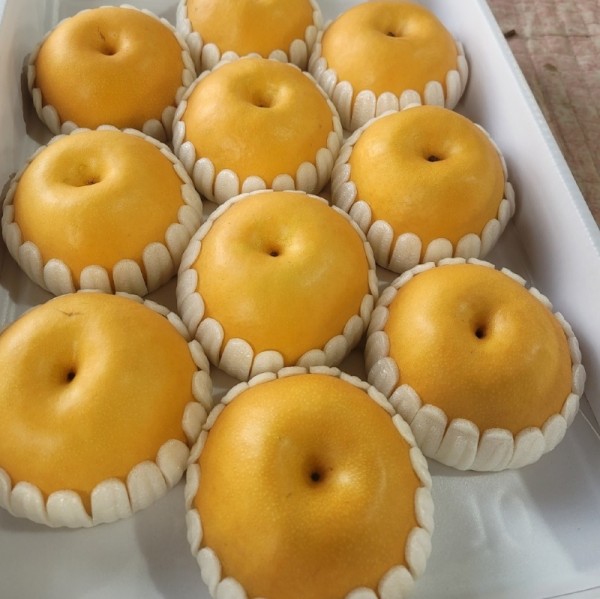 KakaoTalk_20231223_161730588_06.jpg
