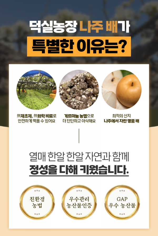 KakaoTalk_20231216_204330918_02.png