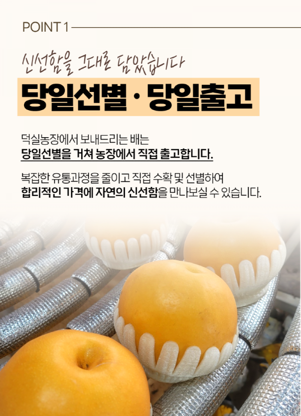 KakaoTalk_20231216_204330918_03.png