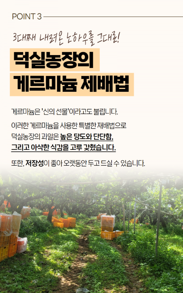 KakaoTalk_20231216_204330918_05.png