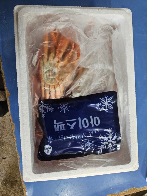 KakaoTalk_20241002_165736450_18.jpg