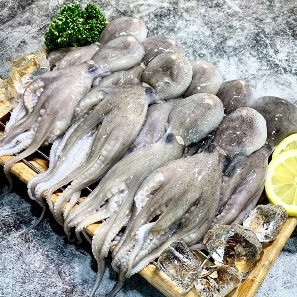 KakaoTalk_20250319_100902141_03.jpg