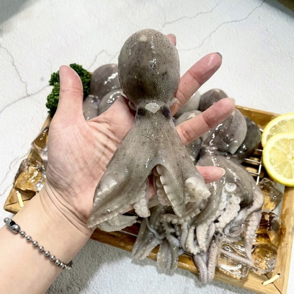 KakaoTalk_20250319_100902141_05.jpg
