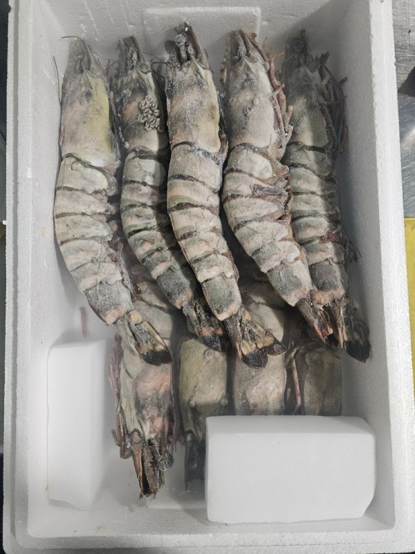 KakaoTalk_20240103_224005448_10.jpg