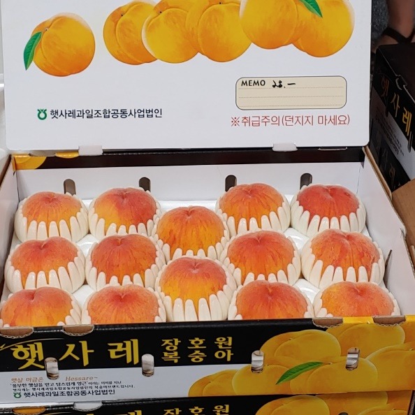 20240714110633.jpg