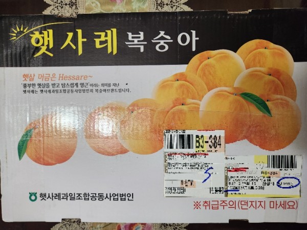 KakaoTalk_20240711_113846430_05.jpg