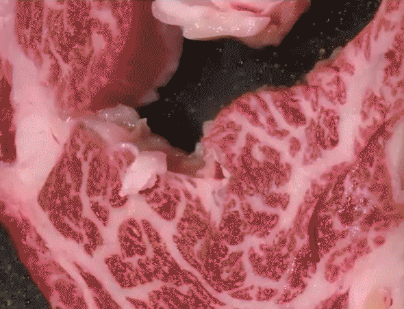 001_1.gif